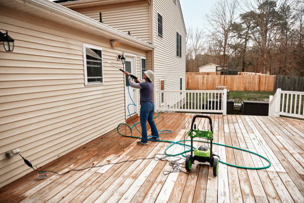 Best House Pressure Washing  in Progreso, TX