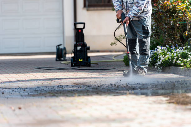 Best Power Washing Near Me  in Progreso, TX
