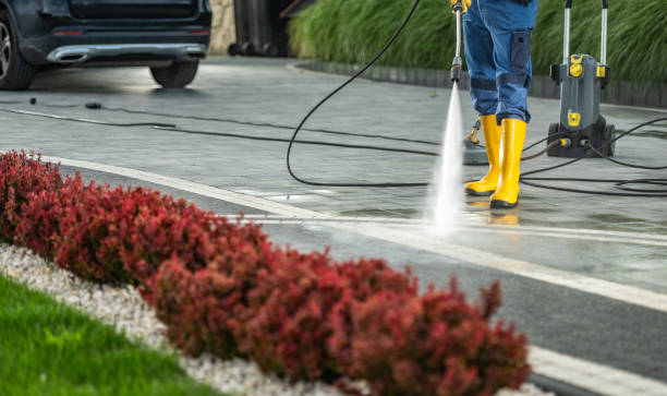 Best Sidewalk Pressure Washing  in Progreso, TX
