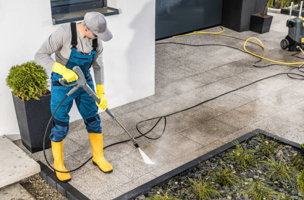 Best Roof Power Washing Services  in Progreso, TX