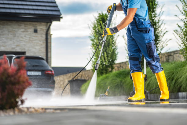 Best Pressure Washing Patio  in Progreso, TX