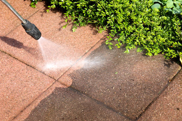 Best House Pressure Washing  in Progreso, TX