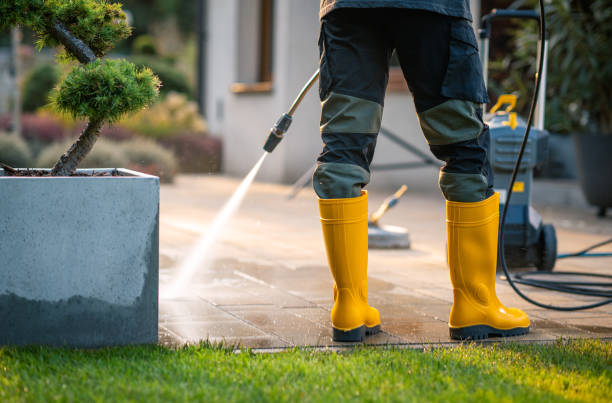 Best Pressure Washing Brick  in Progreso, TX
